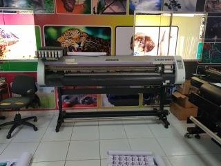 Mimaki parada